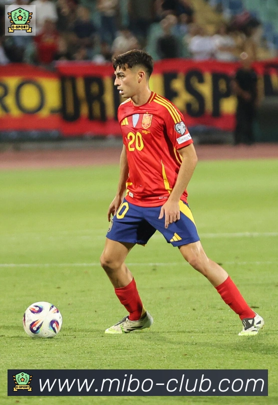 维尼修斯